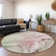 Premium Machine Washable Cerrito AMF502 Blush Rug