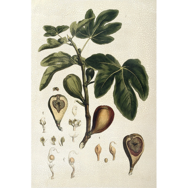 Millers Bounty III by John Miller - Wrapped Canvas Painting, 46cm H x 30cm W x 3.8cm D