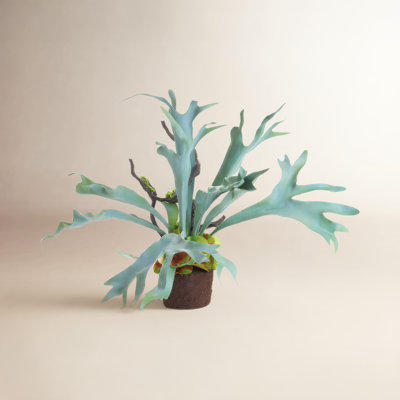 Cunha Faux Fern Plant