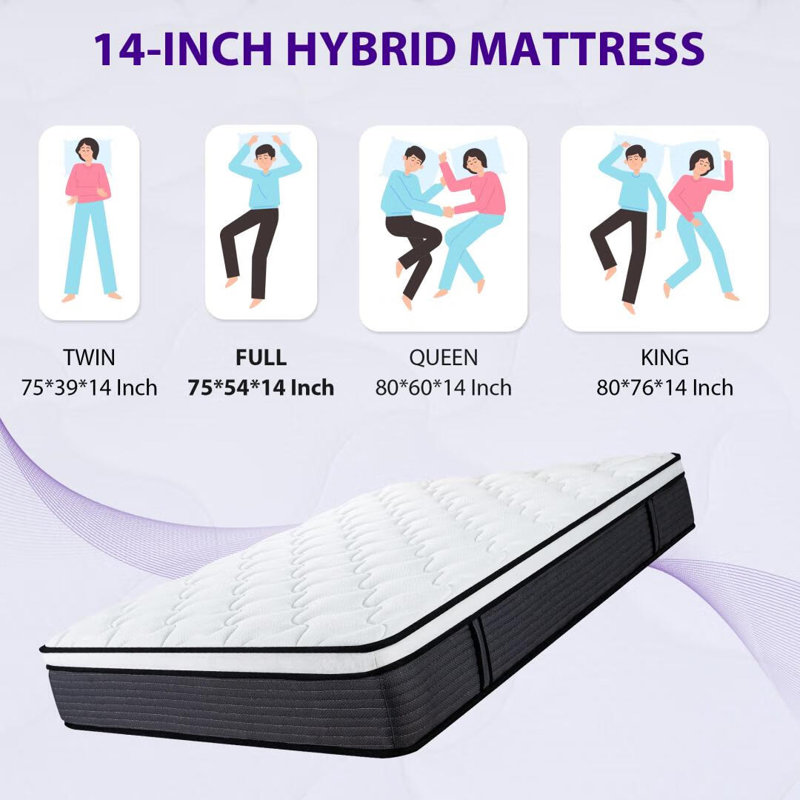 Matelas pour canapé-lit en mousse à mémoire de forme moyenne 14 po Alwyn Home Antwi, 14", Double