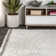 Felicdad Shag Plush Tassel White Rug