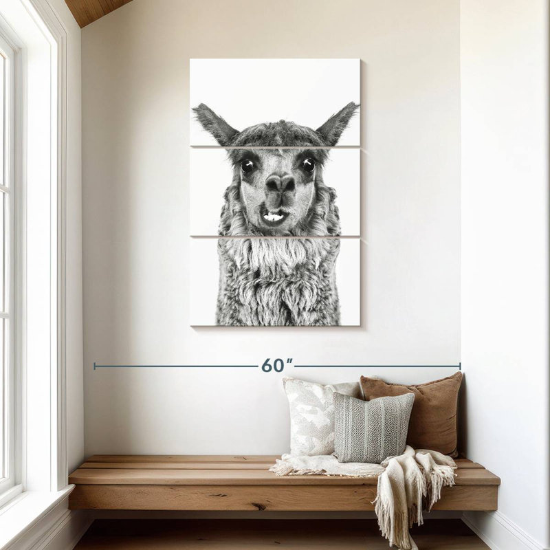 Brampt Happy Alpaca en noir et blanc, H 45 po x l 28 po