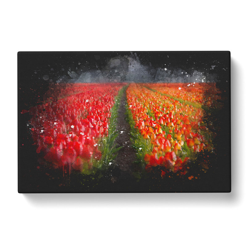 Field of Tulips - Wrapped Canvas, 50cm H x 76cm W x 3cm D