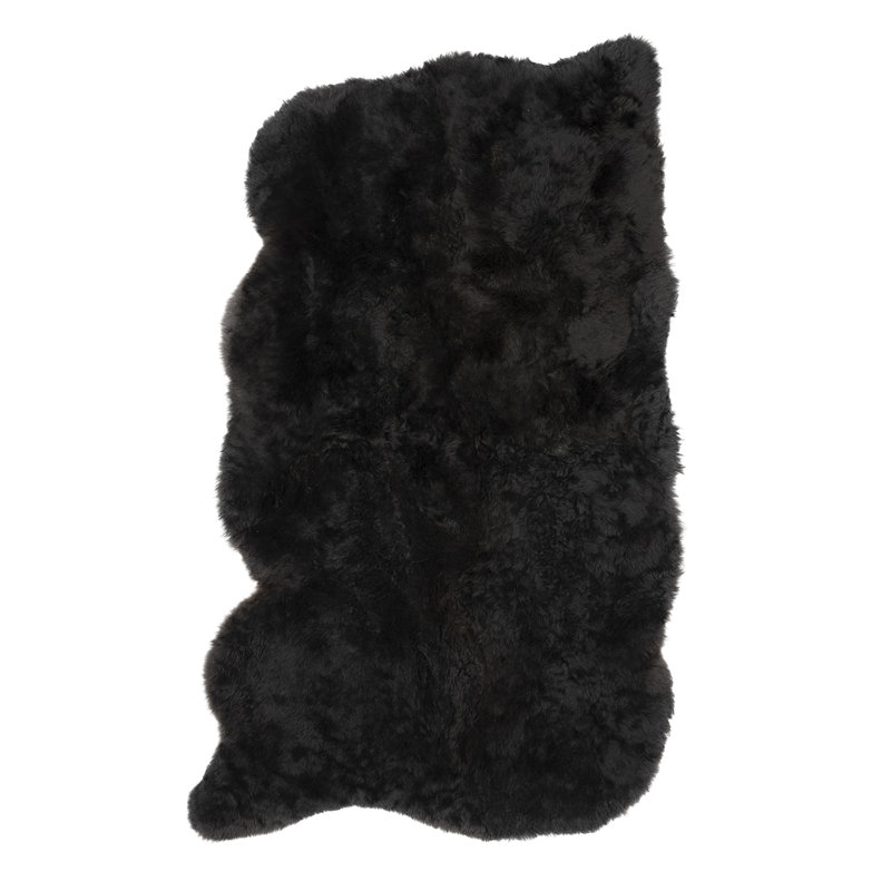 Area Rug in Black