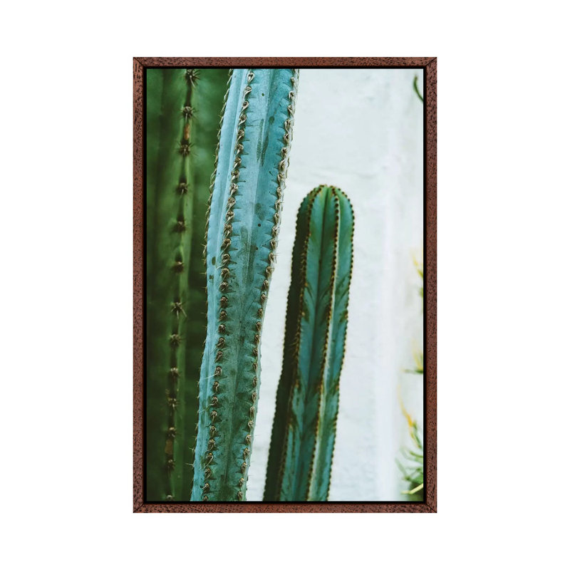 California Cactus Garden II by Bethany Young - Print on Canvas, Classic Brown Wood Framed, 101.6cm H x 66.04cm W x 3.81cm D