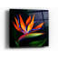 « fleur of paradise », impression
