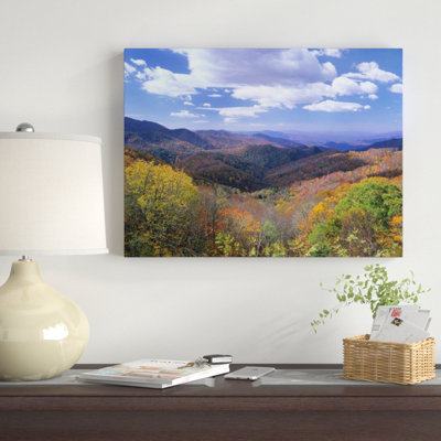 " Deciduous Forest In The Autumn From Thunderstruck Ridge Overlook, Blue Ridge Parkway, North Carolina " by Tim Fitzharris