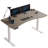 Latysha Dual Motor Electric Height Adjustable Curved Standing Desk-1517718088-1510095601