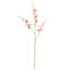 40-Inch Orchid Stem-831287039