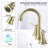 Widespread 2-handle Bathroom Faucet with Drain Assembly-80806992