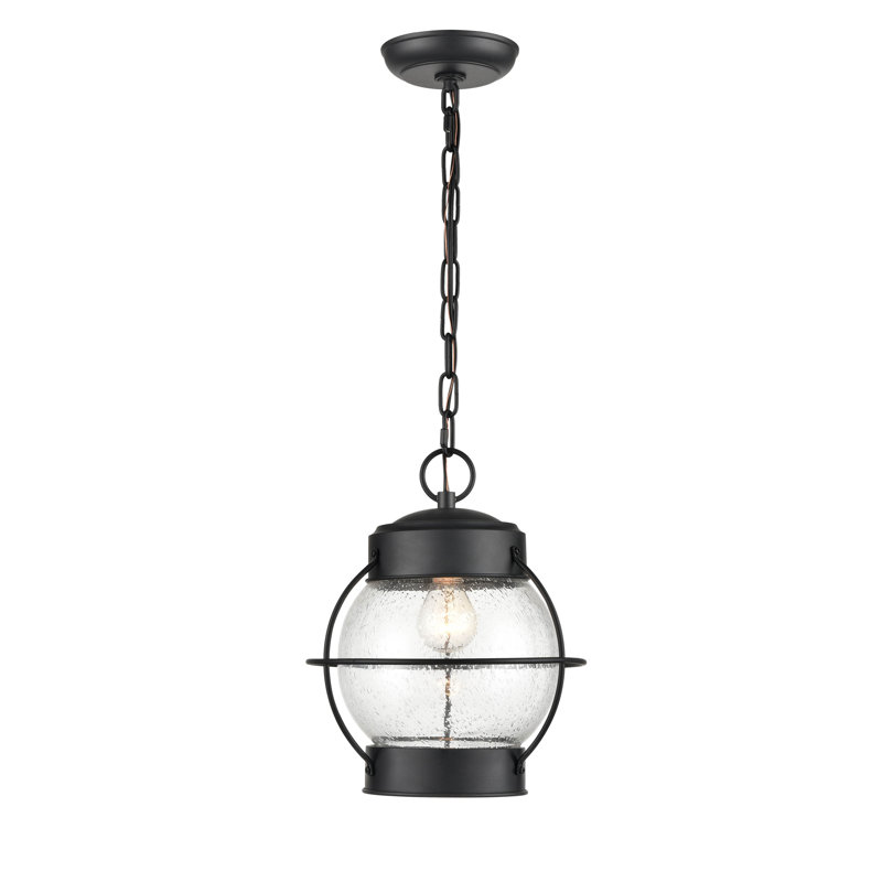 Luminaire suspendu d'extérieur noir thermolaqué H 12,125 po Abdulloh
