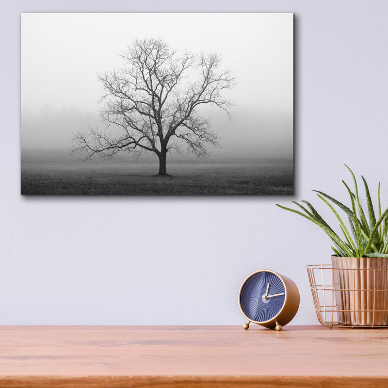 "Velvet Sunrise" par Nicholas Bell, photographie, H 12 po x l 16 po x P 0,13 po