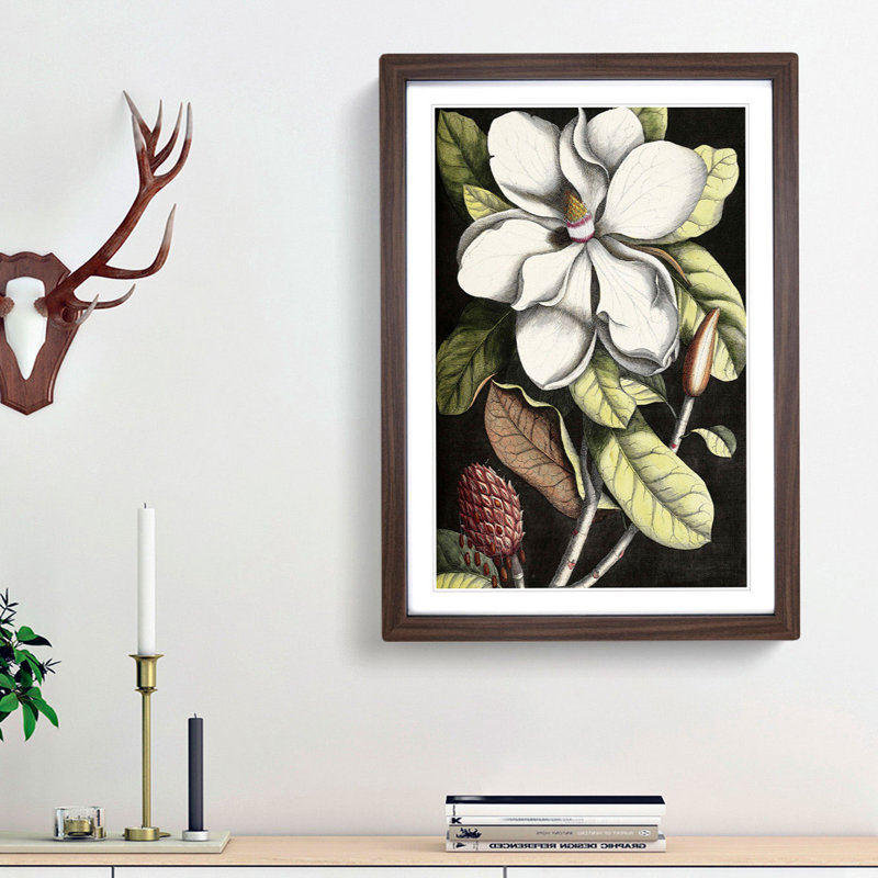 A Laurel Magnolia Tree by Mark Catesby - Picture Frame Painting Print, 87cm H x 62cm W x 2cm D, Walnut Framed