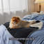 Couverture en flanelle pour animaux-97758583-97758588