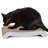 Scratching Post