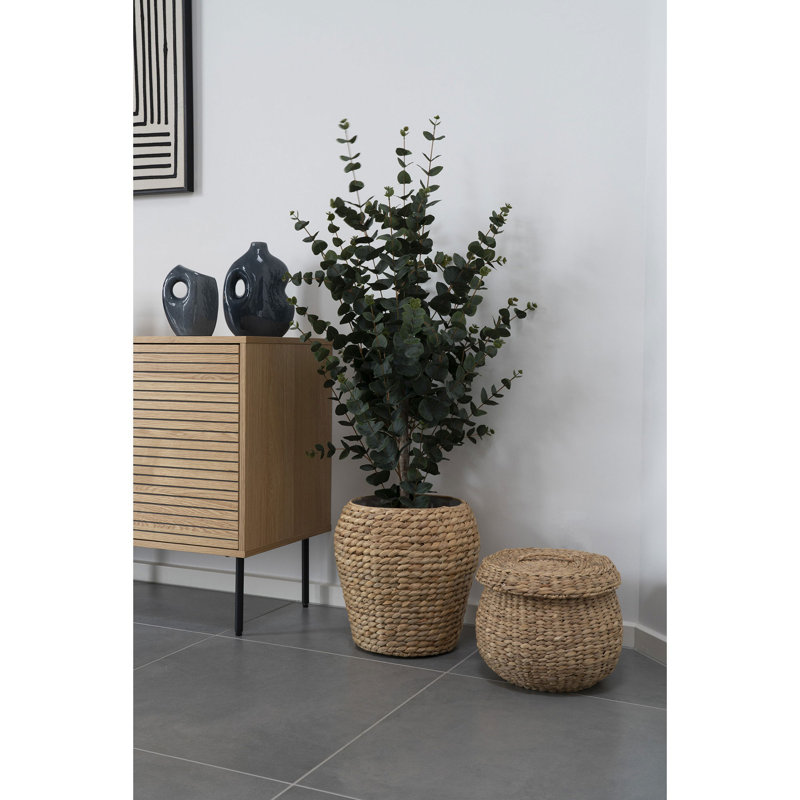 Beachcrest Home Sarina Water Hyacinth Decorative Basket