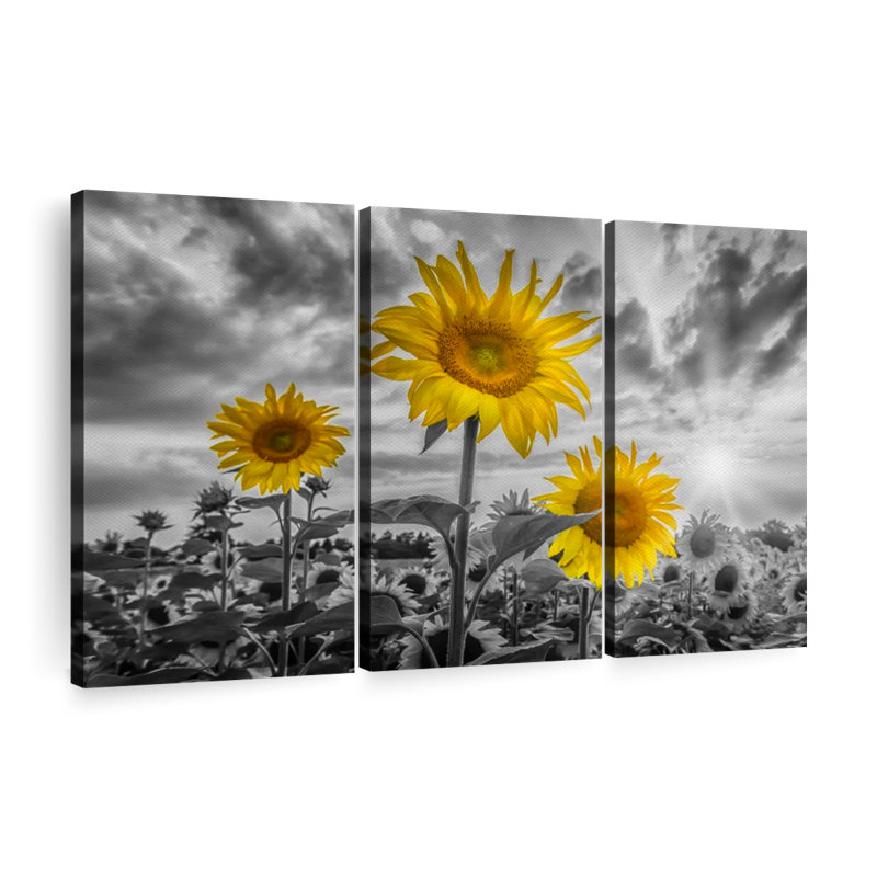 «Sunflowers In Sunset Yellow Color Pop», 3 pièces, H 32 po x l 50 po
