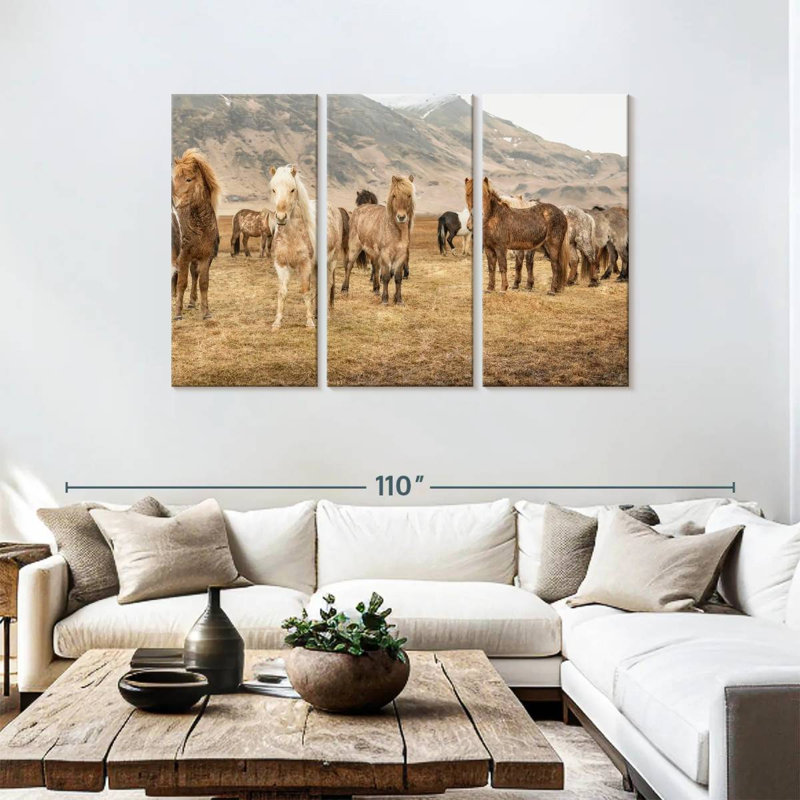Brampt, chevaux islandais dans la campagne, H 48 po x l 74 po