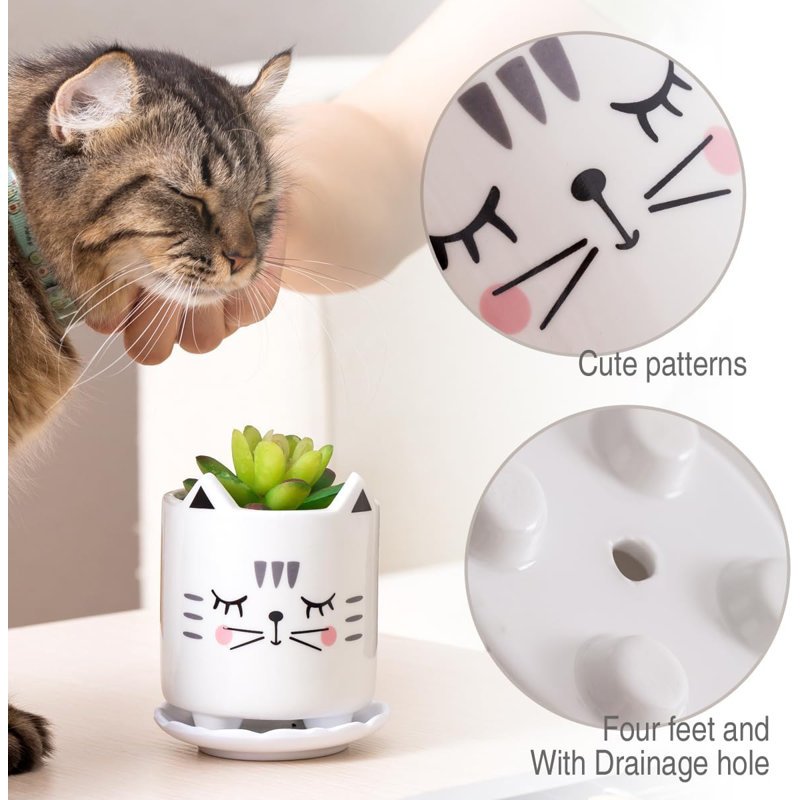 Ensemble de 6 pots à succulents en céramique pour chats avec drainage et plateaux