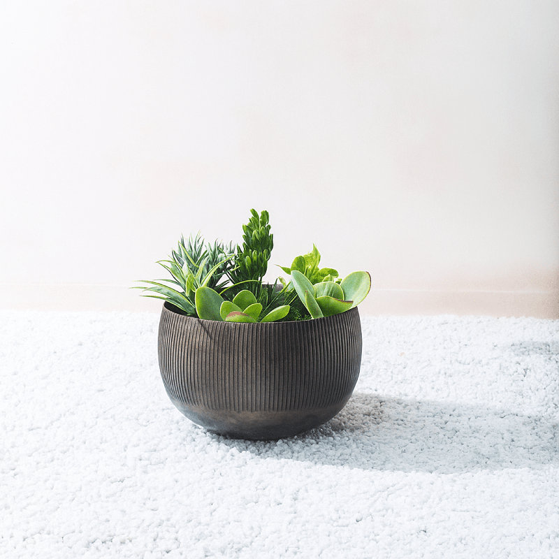 Pot à fleurs en laiton antique fait à la main avec trou de drainage, Petit