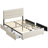 Candler Modern Bed With 4 Drawers And Headboard, Velvet Upholstered Platform Bed, Sturdy Metal & Wooden Slats Support, No Box Spring Needed, Easy Assembly-2000677980-2000677985