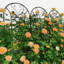 2 Pack Metal Garden Trellis 86.7" X 19.7" Rustproof Trellis For Climbing Plants Outdoor Flower Support Peacock Style