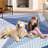 Milo Geometric Area Rug