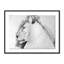 Lioness Profile Print by Amy Bautz-48618904-48618905