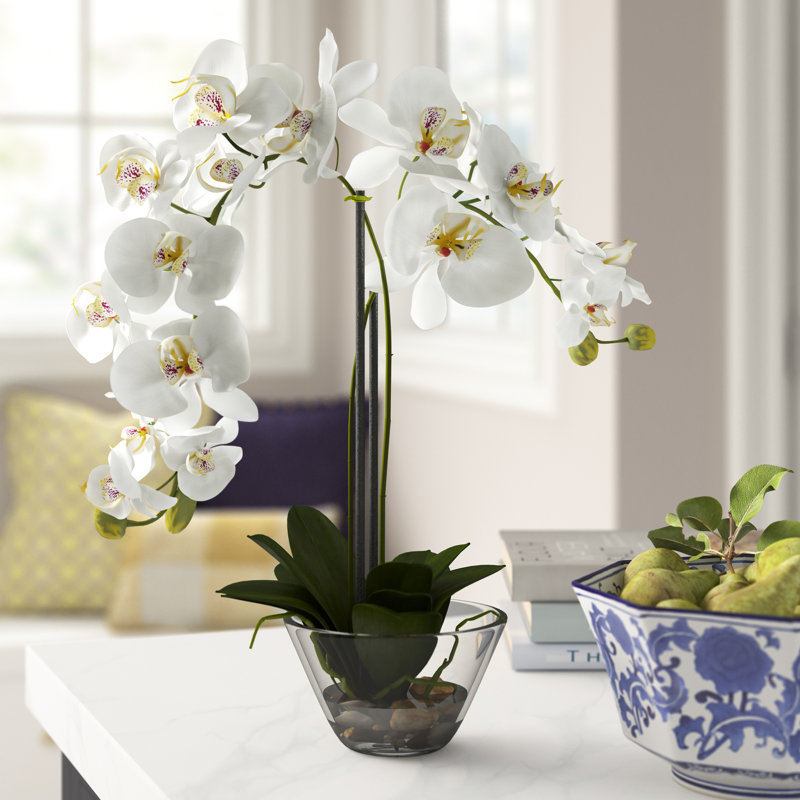 Arrangement floral orchidée phalaenopsis dans un vase