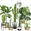 «Plant Haven I», impression sur toile-29283623-74731573-74731578
