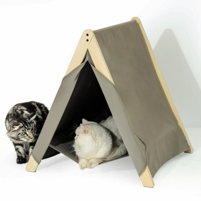 Chantae Tent Pet Bed