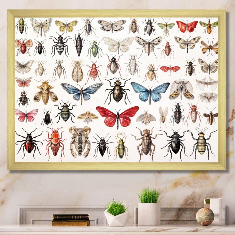 «Tiny Insect Wonders II», reproduction sur toile, Cadre doré à une seule photo, H 12 po x l 20 po x P 1 po