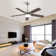42 Inch Ceiling Fan 5 Blades Noiseless Reversible Dc Motor Remote Control With Led Light