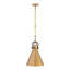 Luminaire suspendu 1 lumière Fenric 13,75 po-124505418