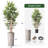 Artificial Tree in Geometric Pattern Planter Fake Bamboo Silk Tree (Plant Pot Plus Tree)-103593075
