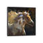 Spirit Spirit, art encadré-52155944-52155947