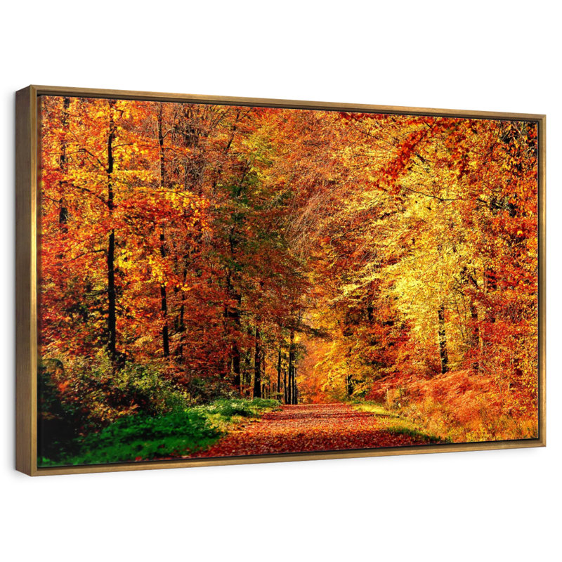 Chemin vers la forêt d'automne, 46 po x 31 po, Cadre flottant doré