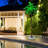 72'' Palm Tree in Freestanding