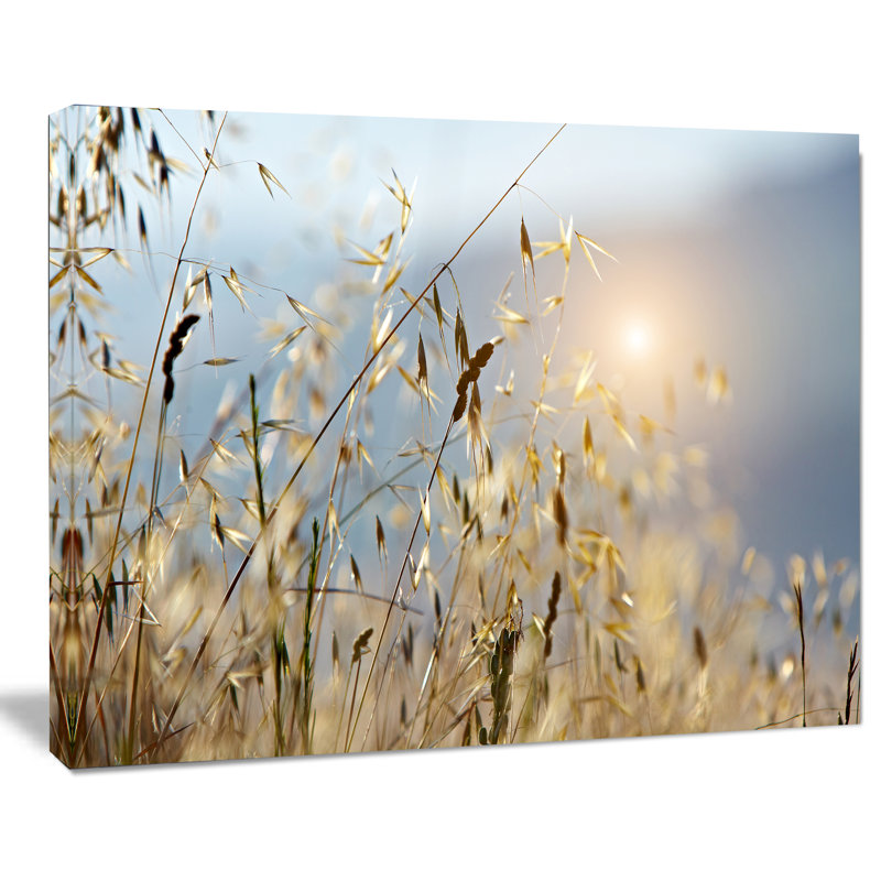 Typique, Toscane, coucher de soleil, Italie - reproduction de photo sur toile tendue, H 30 po x l 40 po x P 1 po