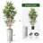 Artificial Tree in Contemporary Geometric Pattern Planter Fake Bamboo Silk Tree Plant Pot Plus Tree-103592540