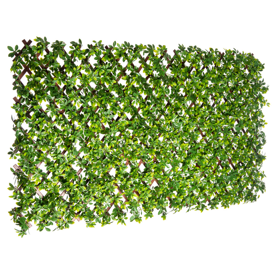0.3 ft. H x 4 ft. W Polyethylene Privacy Screen Naturae Decor