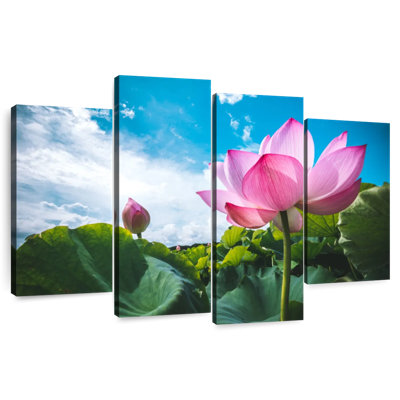 Harnek Lotus Pond Cloudscape