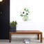 Art contemporain contemporain-436027537