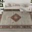 Sultanabad Wool Oriental Area Rug