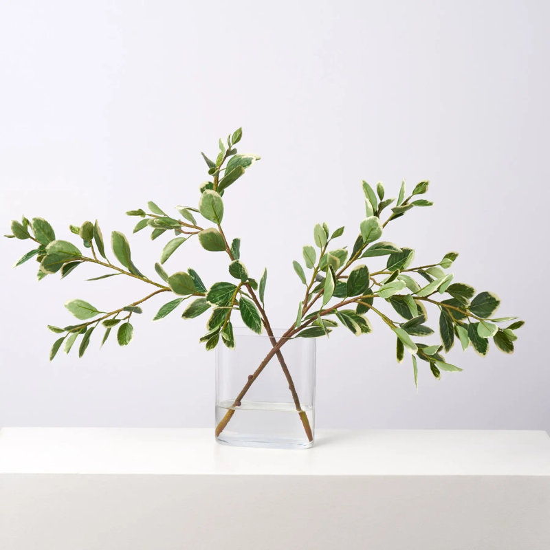 Branches japonaises dans un vase ovale moderne