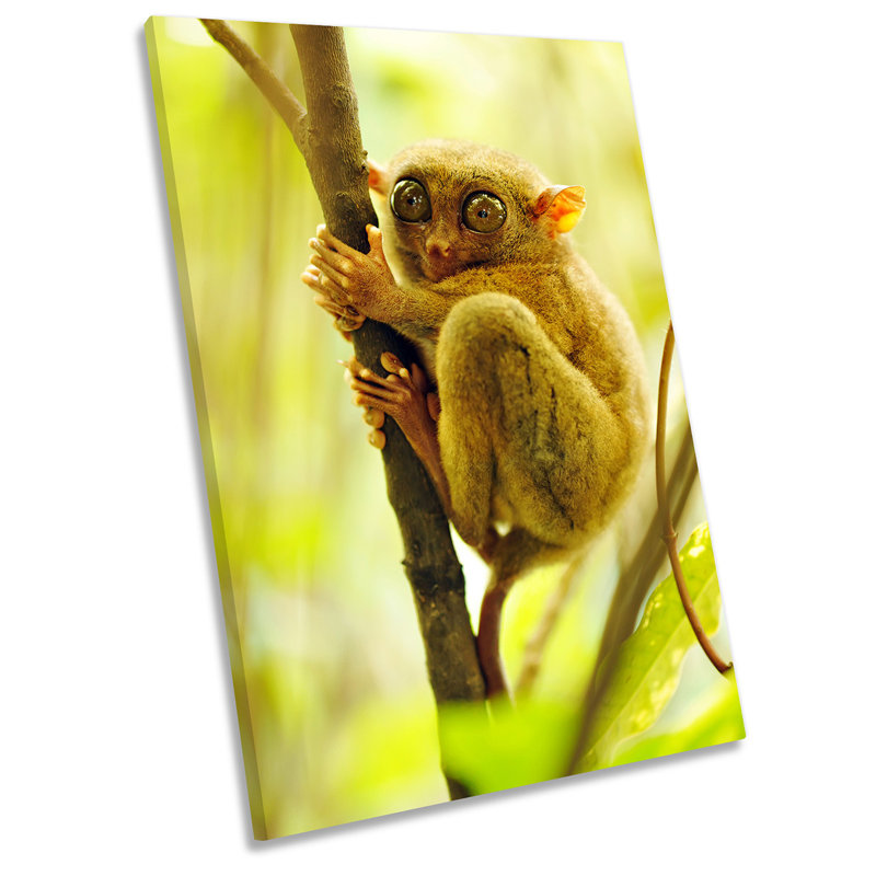 Z1521 Monkey Tree - Wrapped Canvas Print, 76.2cm H x 50.8cm W x 2cm D