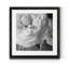 Renoncule foncé II - cadre photo-997390533-997338831-997338869