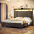 Hudepohl Upholstered Wingback Bed with 52.12" High Storage Headboard, Modern Upholstered Bed Frame with Outlet & LED Light-1636301564-1644785087
