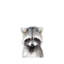Baby Raccoon - Wrapped Canvas Painting-1404572122