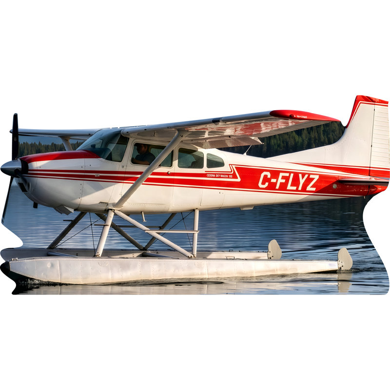 SP13710, hydravion, Alaska, buisson, bateau, hydravion, carton, découpe, debout, debout